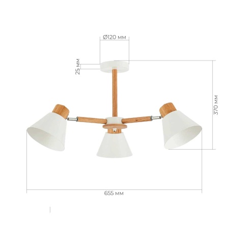 Потолочная люстра Evoluce Buve SLE103702-03