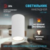 Настенно-потолочный светильник ЭРА OL31 WH Б0056375