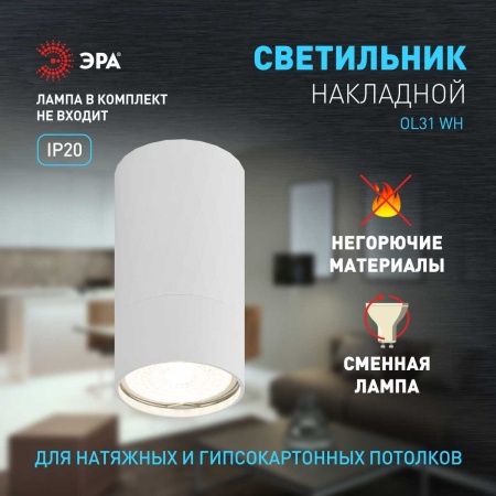 Настенно-потолочный светильник ЭРА OL31 WH Б0056375