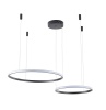Подвесной светильник Zortes RINGOLIGHT ZRS.33321.63F