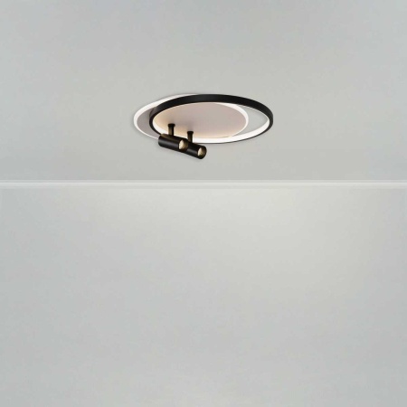 Потолочный светильник Freya Прожекторы / Spotlights FR6083CL-L106WB