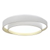 Потолочный светодиодный светильник ST Luce Crosby SLE6009-502-01