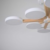 Потолочный светильник Imperium Loft TURNA-B01 228849-26