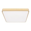 Потолочный светодиодный светильник Loft IT Flims 10228/D