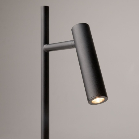 Торшер Maytoni Estudo Z010FL-L8B3K