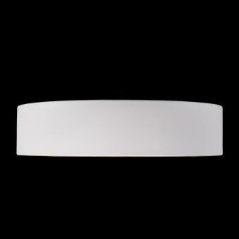 Потолочный светодиодный светильник Loft IT Coin 10202 White