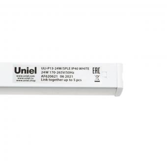 Настенный светодиодный светильник для растений Uniel ULI-P13-24W/SPLE IP40 White UL-00008920