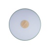 Потолочный светодиодный светильник Loft IT Axel 10003/24 green