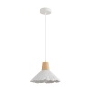 Подвесной светильник Lumion SUSPENTIONI 8352/1A