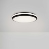 Потолочный светильник Freya Пирог / Pie FR6086CL-L117B