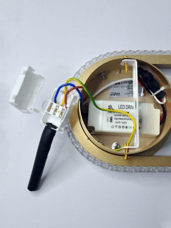 Настенный светодиодный светильник Elvan NLS-5398-10W-WW-Gl