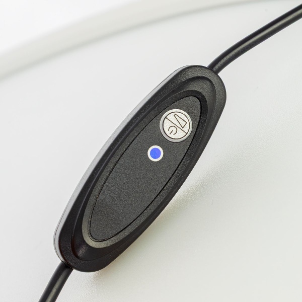 Настольная лампа Citilux Lina CL812010