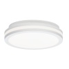 Светильник накладной Citilux LUNS CL711010V
