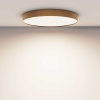 Потолочный светодиодный светильник Maytoni Zon C032CL-90W4K-RD-MG