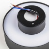 Светильник накладной Lightstar Acuto 215947