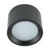 Потолочный cветильник Nowodvorski Bol Black 10484