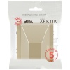 Вывод кабеля ЭРА Arktik 16-6001-04 шампань Б0070597