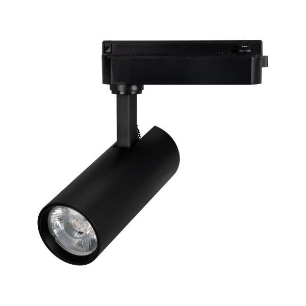 Трековый светодиодный светильник Arlight LGD-GERA-2TR-R55-10W Warm3000 055055