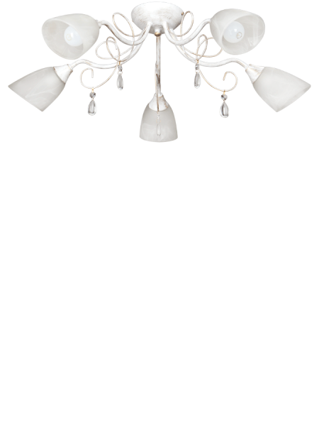 Потолочная люстра Vitaluce V1473/5PL