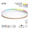 Потолочный светодиодный светильник Citilux Etalon CL750500R