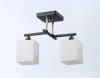 Подвесной светильник Ambrella light Traditional Modern TR303112
