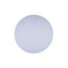Потолочный светодиодный светильник Loft IT Axel 10002/48 white