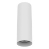 Потолочный светильник Lightstar Rullo 216496