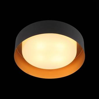 Потолочный светильник ST Luce Chio SL392.422.04