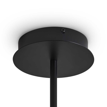 Потолочный светильник Freya FR5541CL-L30B