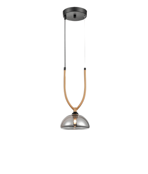 Подвесной светильник Vele Luce Astiy VL5434P01