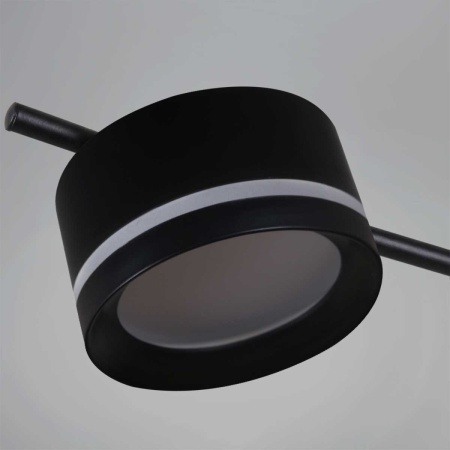 Потолочная люстра Reluce 10590-0.3-06 Black