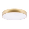Потолочный светодиодный светильник Loft IT Flims 10228/A