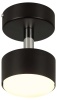 Спот Rivoli Alesta 7079-701 Б0069931