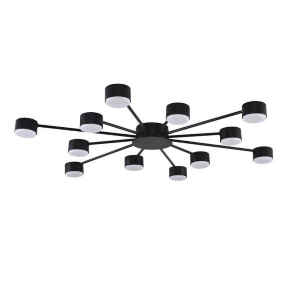 Люстра Lumion COMFI 8344/12C