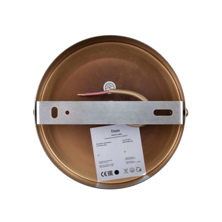 Потолочная люстра Freya Пепельный / Ashy FR5327CL-08BZ