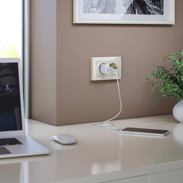 Розетка двойная с заземлением Werkel слоновая кость W1172003 4690389155840 Розетка двойная с заземлением Werkel слоновая кость W1172003 4690389155840