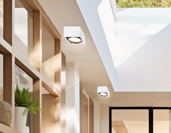 Накладной светильник Ambrella light Techno Spot GX Standard tech TN70865 Накладной светильник Ambrella light Techno Spot GX Standard tech TN70865