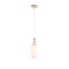 Подвесной светильник ST Luce Elegra SL1402.253.01