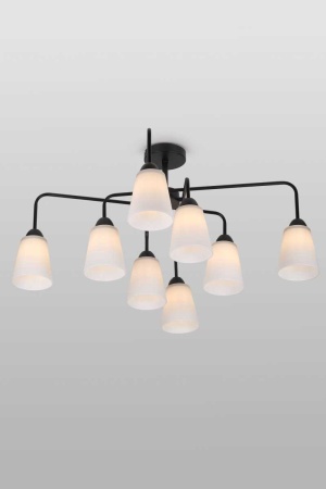 Потолочная люстра Rivoli Jodie 9190-308 Б0070154