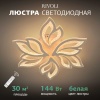 Потолочная светодиодная люстра Rivoli Teodora 6149-106 Б0066418