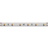 Светодиодная лента Maytoni Led Strip 201178
