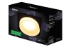 Потолочный светильник Ritter Alen 52054 2