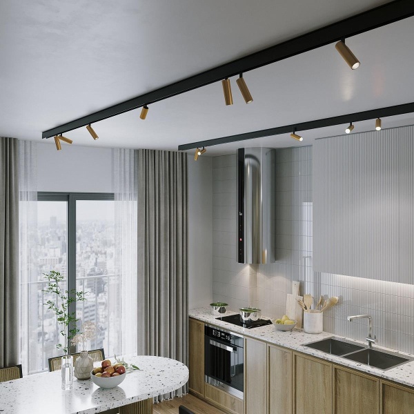 Трековый светодиодный светильник Elektrostandard Slim Magnetic Dim Dual 85056/01 латунь a063527 Трековый светодиодный светильник Elektrostandard Slim Magnetic Dim Dual 85056/01 латунь a063527