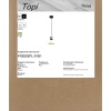 Подвесной светильник Freya Топи / Topi FR5503PL-01B1