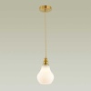 Подвесной светильник Lumion Moderni Eleonora 4562/1