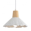 Подвесной светильник Lumion SUSPENTIONI 8352/1A