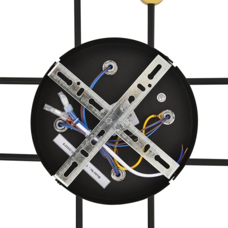 Люстра Lumion LENIANA 8307/8C