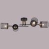 Потолочная люстра Reluce 38460-0.3-04 BK+COPPER