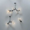 Потолочный светильник Freya Crown FR5213PL-05B