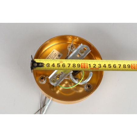 Подвесная люстра Aployt Gertunia APL.847.03.13